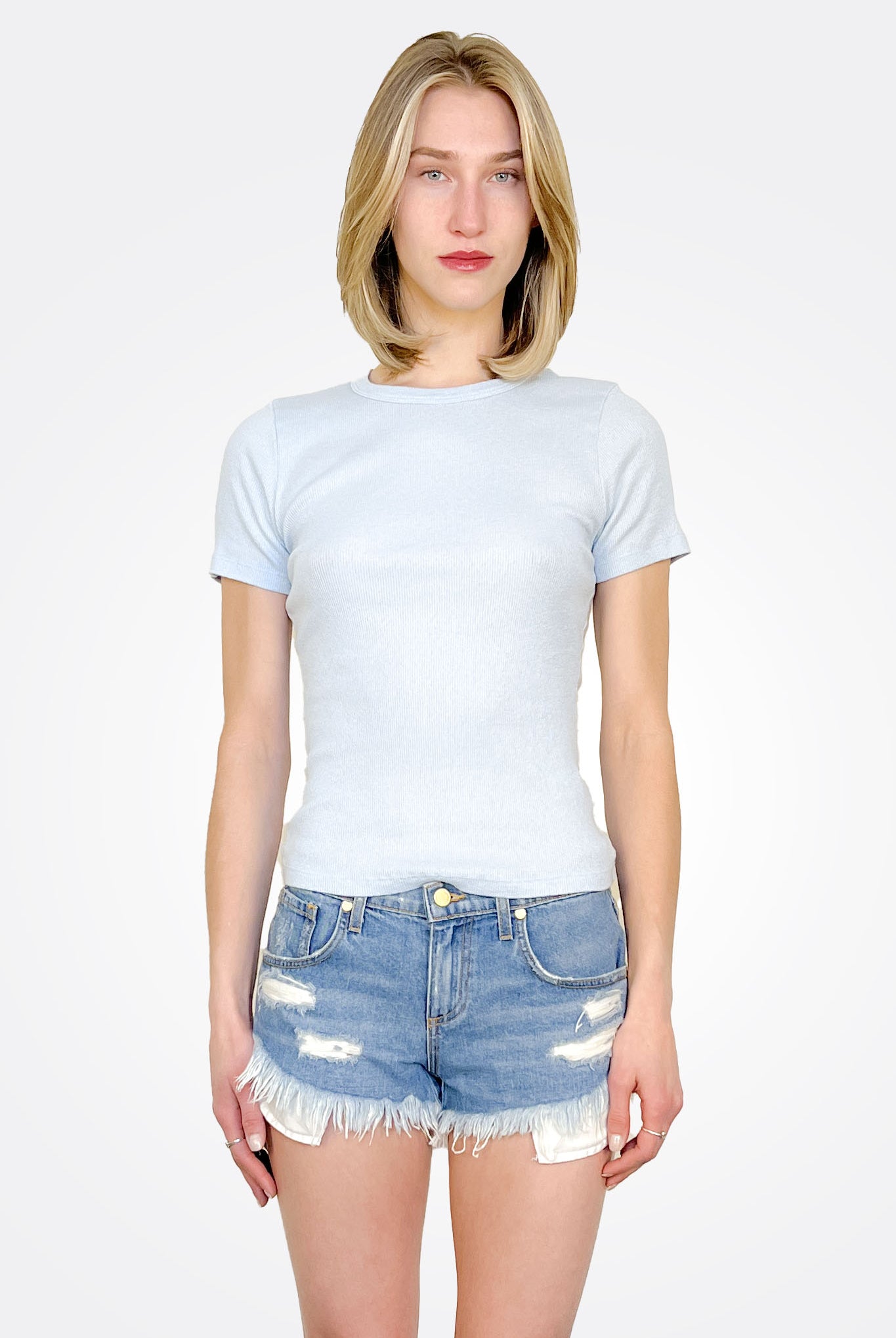 Lani Shine Crew Neck Tee - Fountain by Michael Stars | 25 South Boutiques