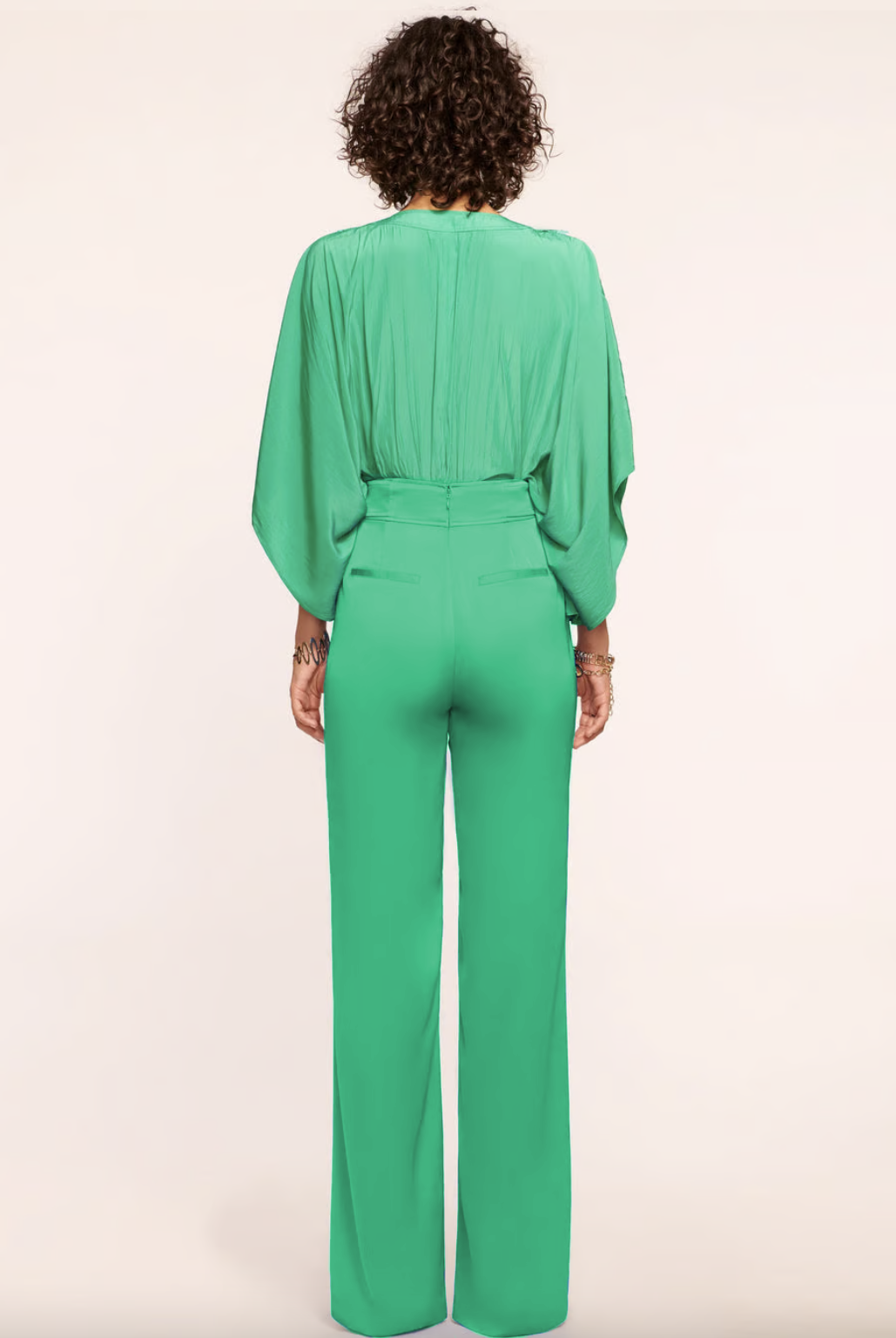 Leanna Wide Leg Pant - Sea Green by Ramy Brook — view 3