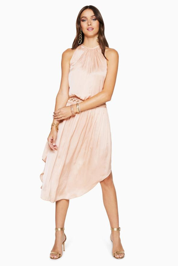 Shiny Audrey Dress - Blossom by Ramy Brook | 25 South Boutiques