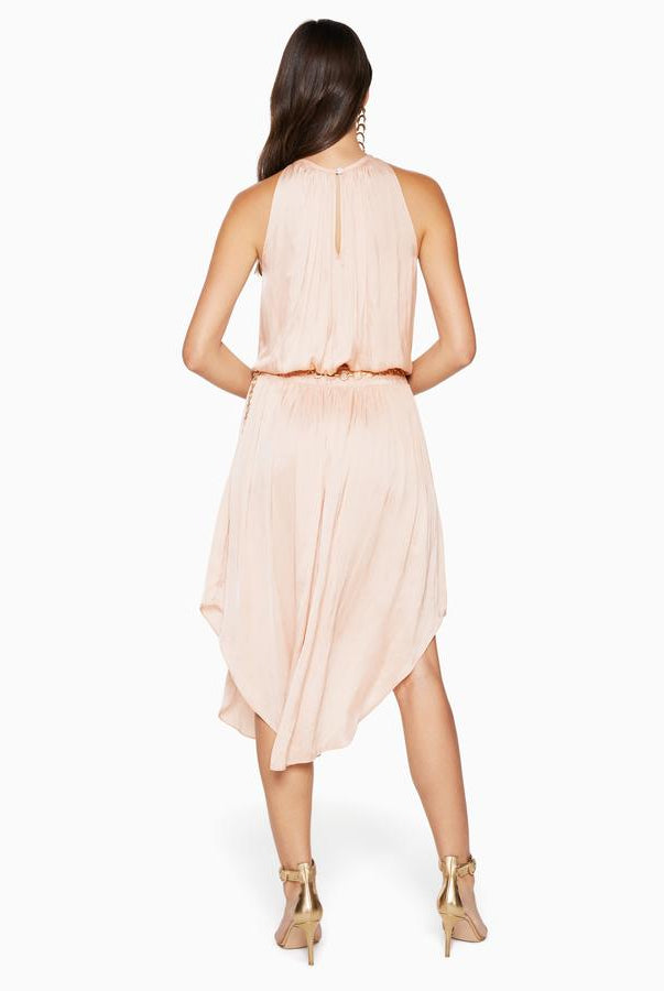 Shiny Audrey Dress - Blossom by Ramy Brook — alternate view
