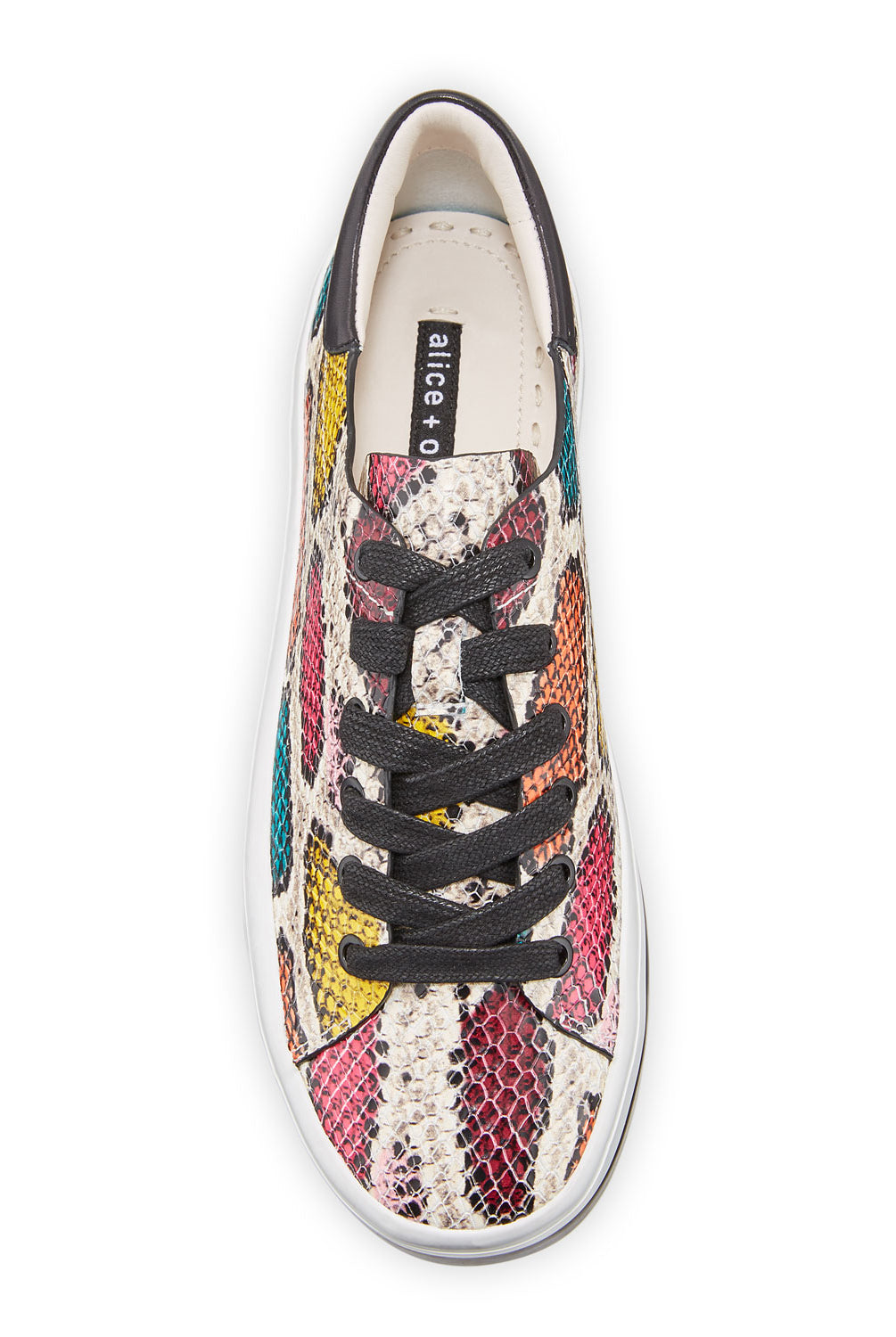 Ezra II Low Top Sneaker - Snake Multi by Alice & Olivia — view 3