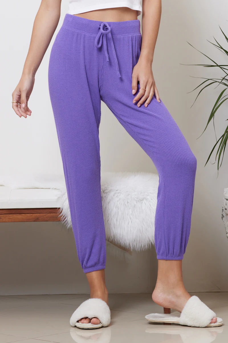 Skinny Rib Joggers - Iris by LA Made — view 3