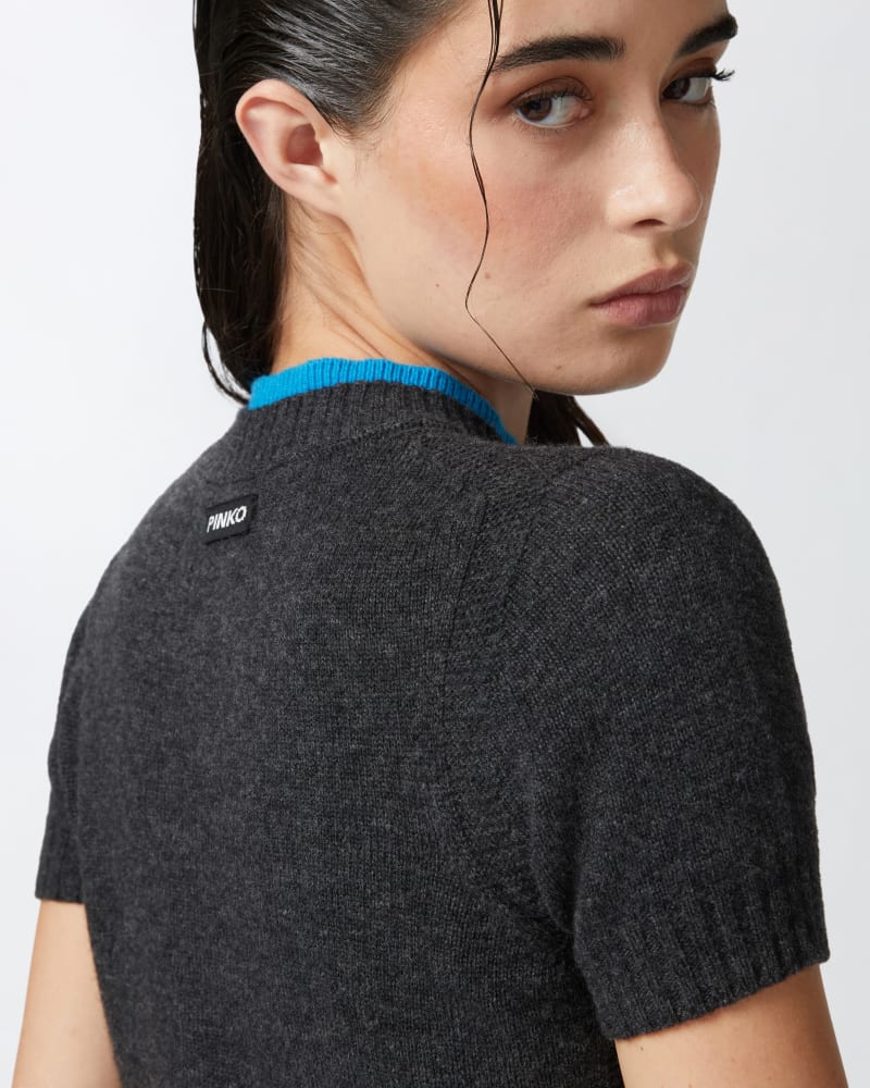 Contrasting Profile Short Tee - Grey by Pinko — alternate view