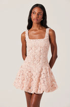 Fable 3D Floral Bubble Dress - Blush by ASTR the Label — alternate view