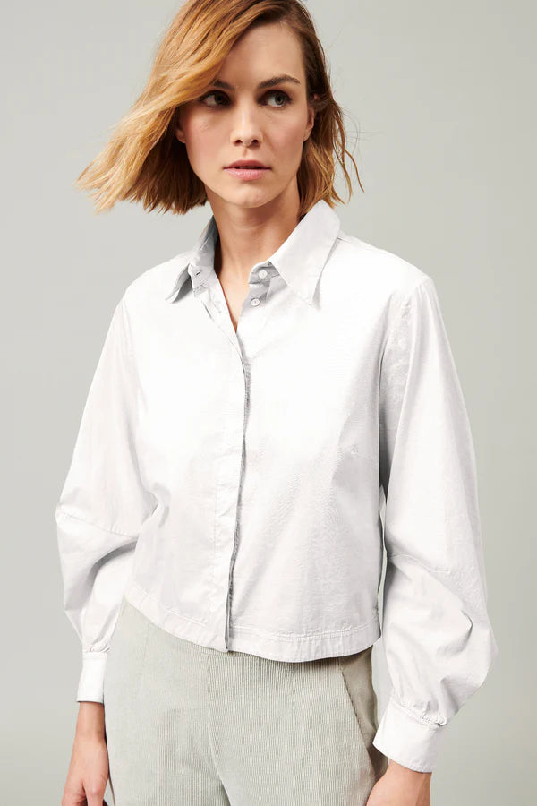 Stretch Cotton Poplin Shirt - Optical White by Tandem | 25 South Boutiques