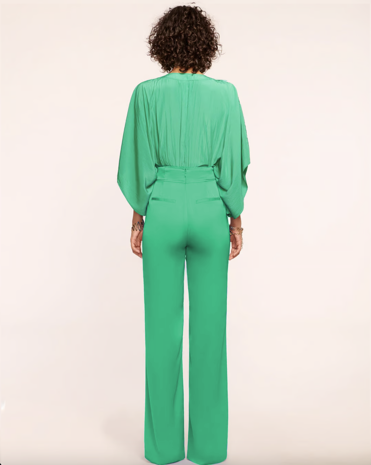 Leanna Wide Leg Pant - Sea Green by Ramy Brook — view 3