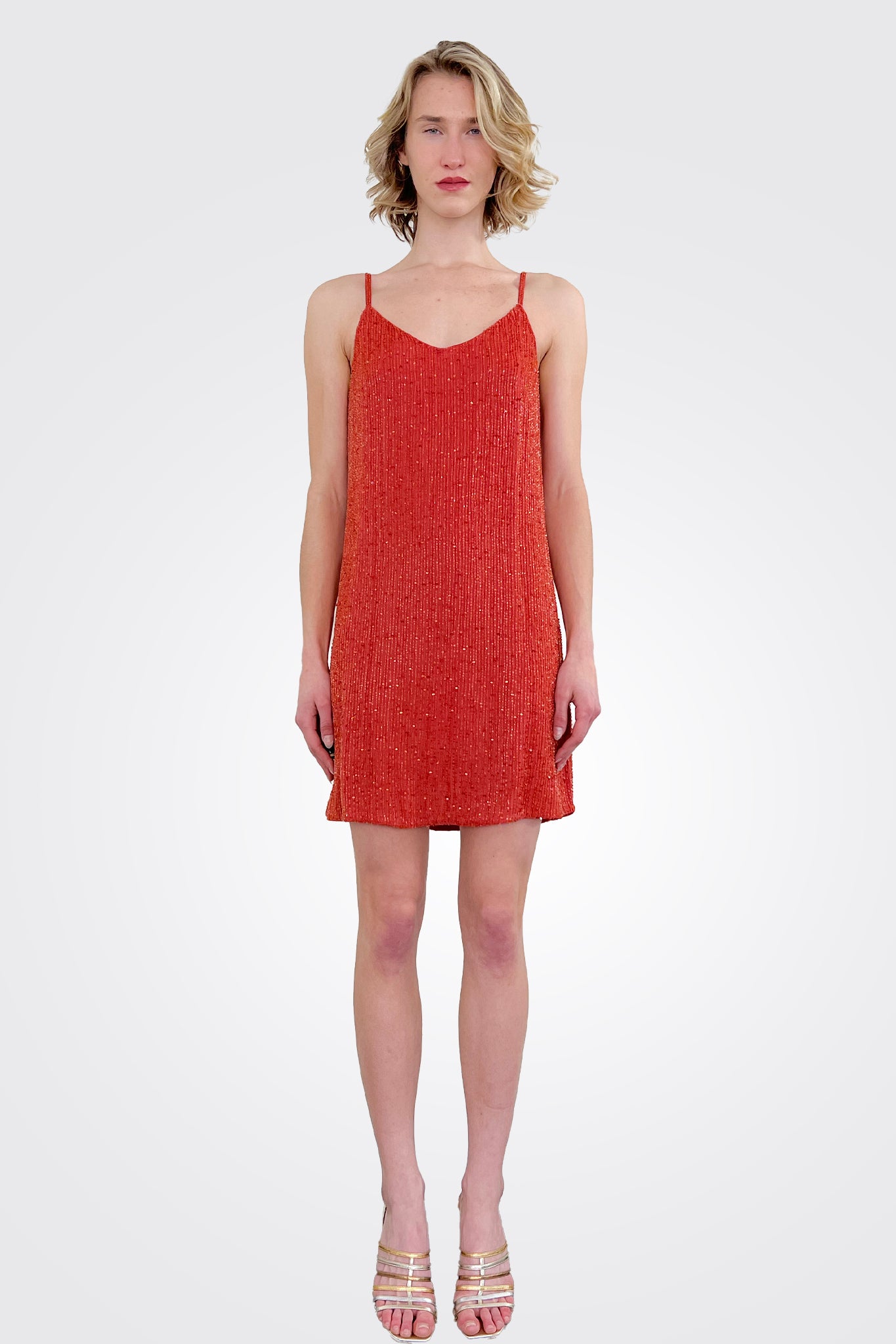 Mini Dress - Red Rose by Haute Hippie | 25 South Boutiques