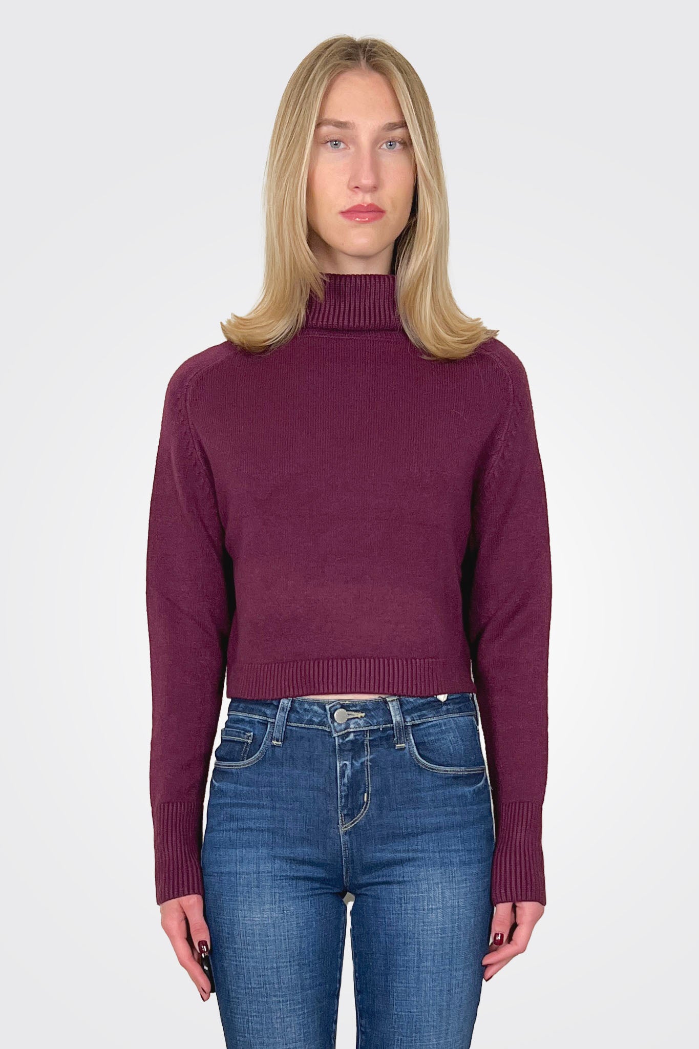 Pugliese Turtleneck Sweater - Wine by Deluc | 25 South Boutiques
