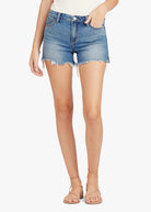 The Ozzie Short - Denali by Joe's Jeans | 25 South Boutiques